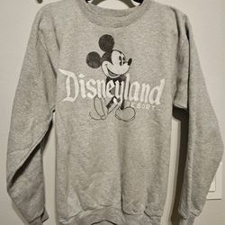 Adult Sz S Disneyland Parks Sweater 