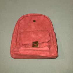  Bookbag Purse