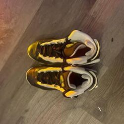 Nike Air Jordan's 6 rings 