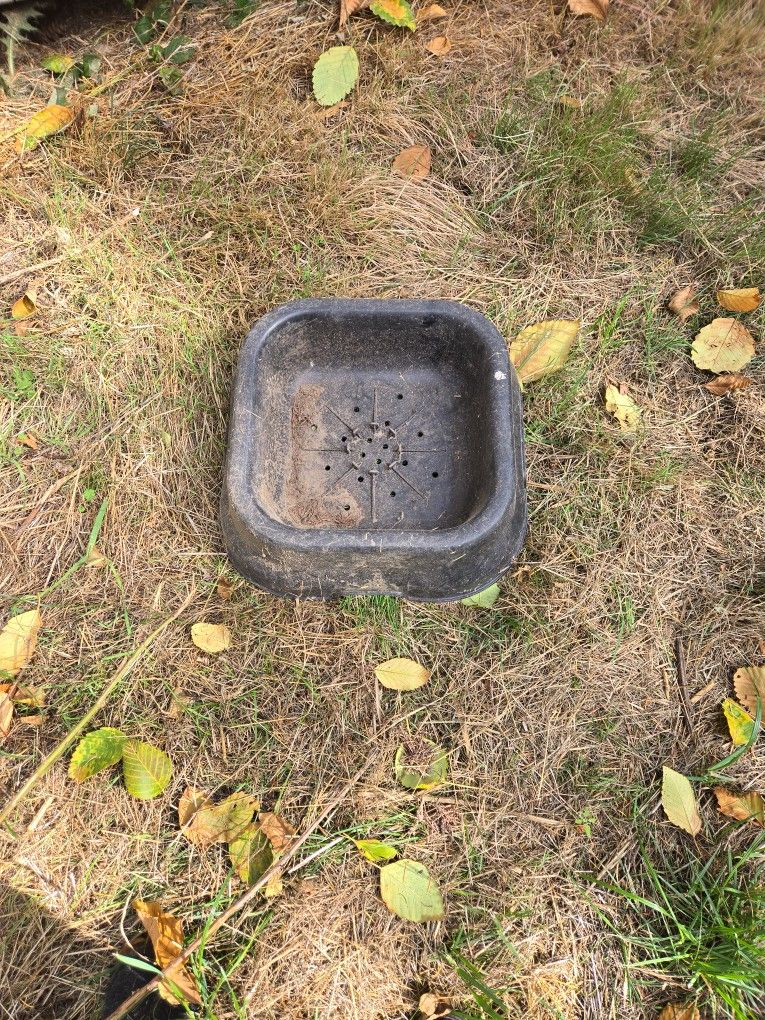 Salt Block Holder