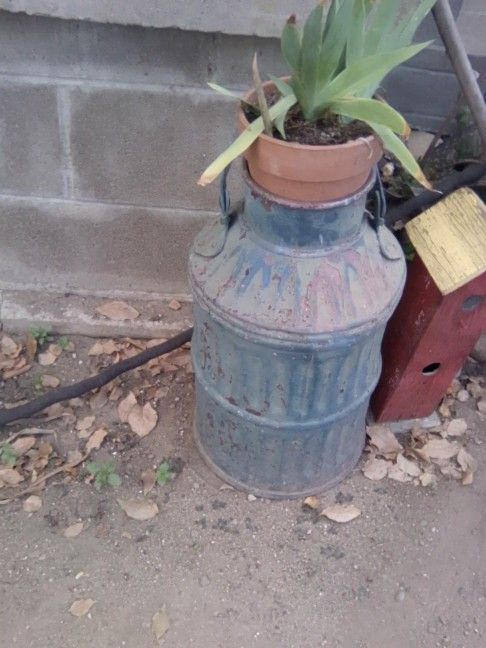 Copper Cream Dairy Can