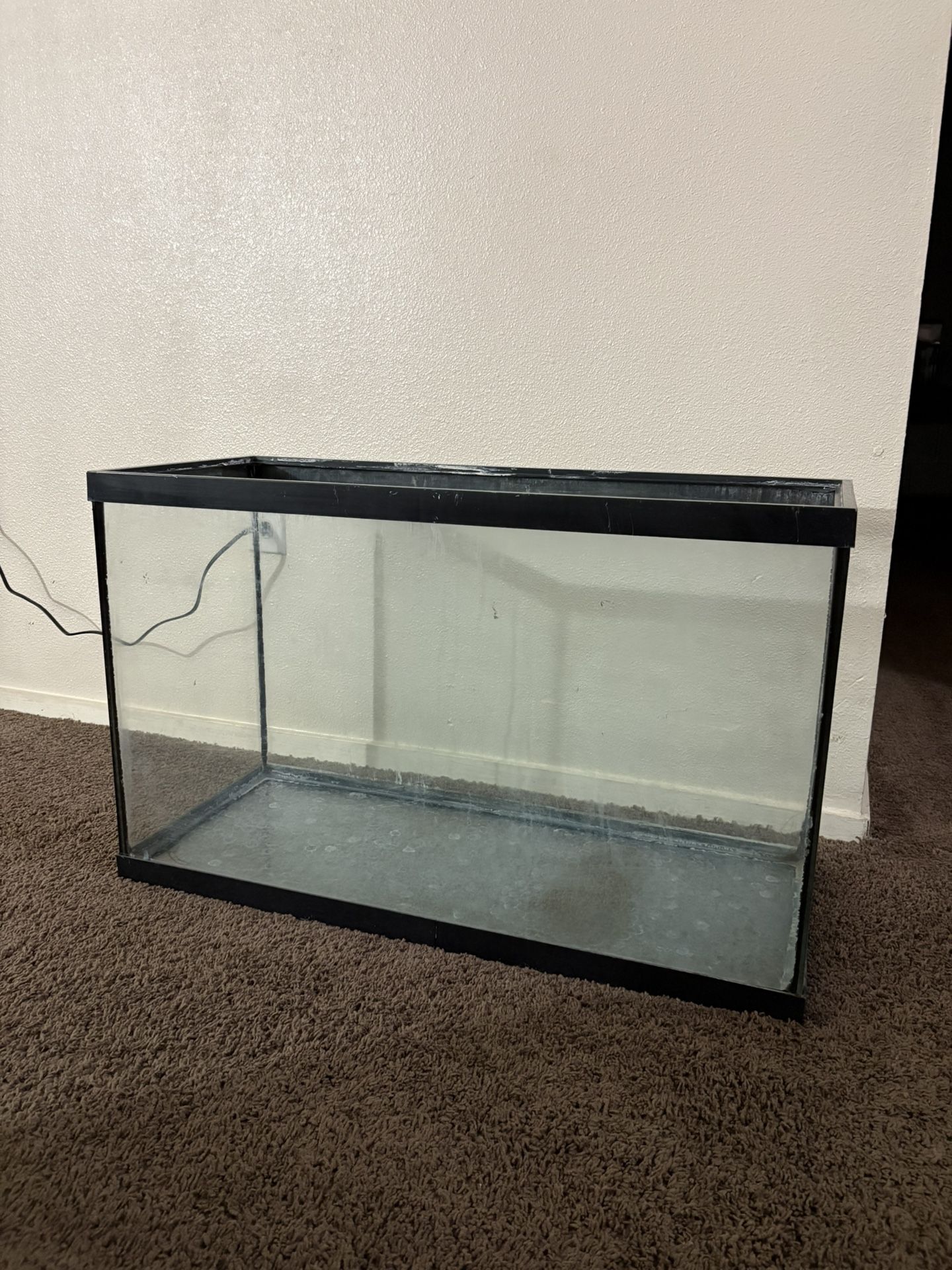 Fish tank O Whatever Tank