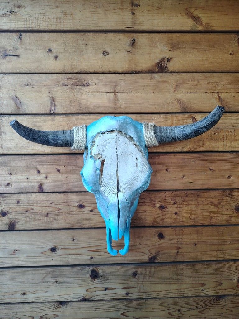 Cow Skulls - Hand Painted Art Home Decor