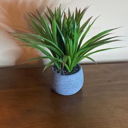 Decorative Fake Plant