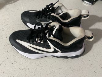 Giannis basket ball shoes