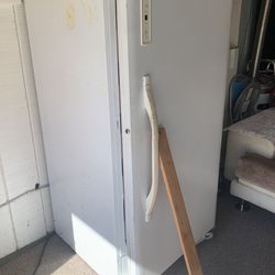 Free 13 Cubic Freezer