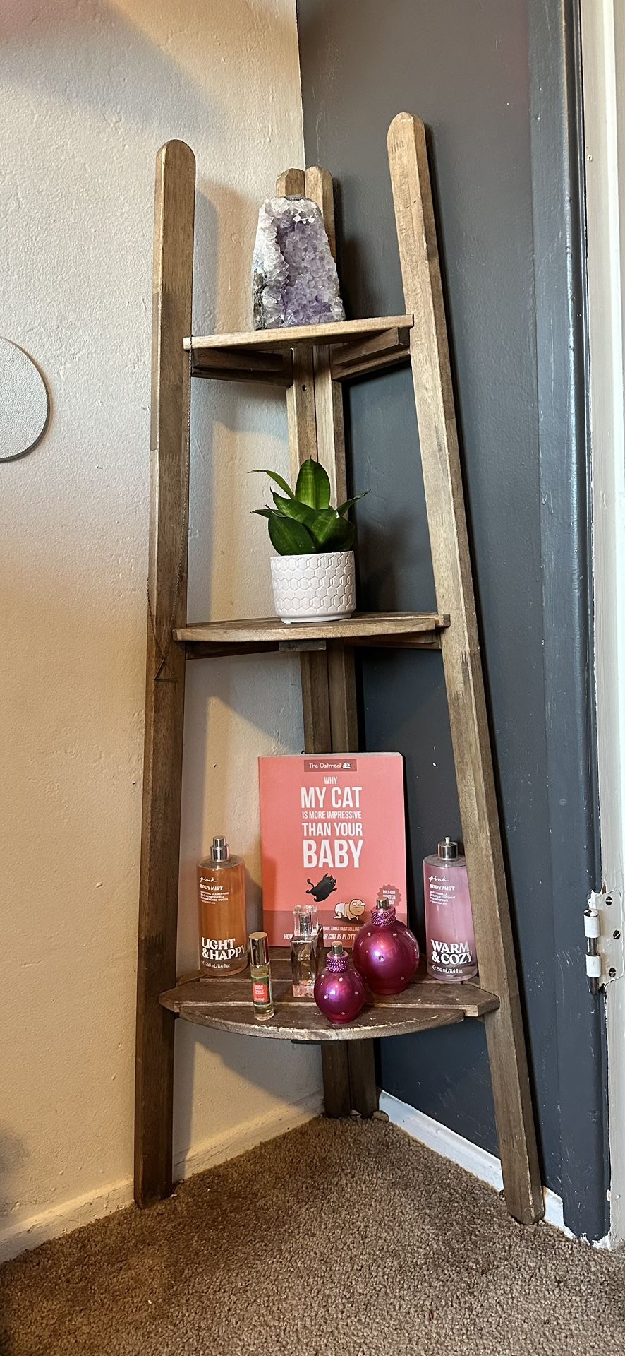 Corner Shelf (4 Ft Tall)