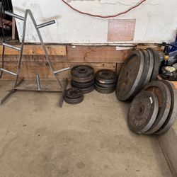 Weight Plates and Multipurpose Bench