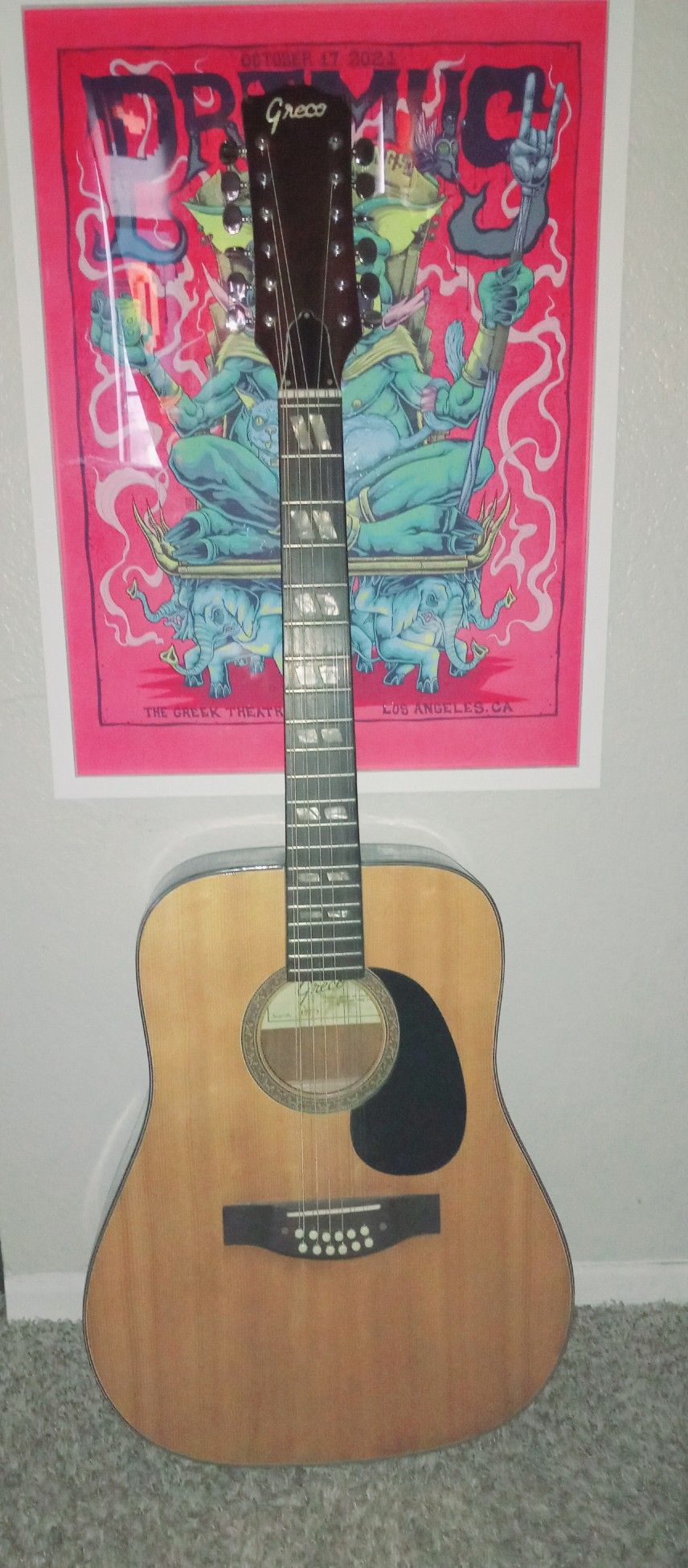 12 String Acoustic Guitar