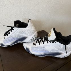 Jordan 38 Low Dunks 9.5 Men’s