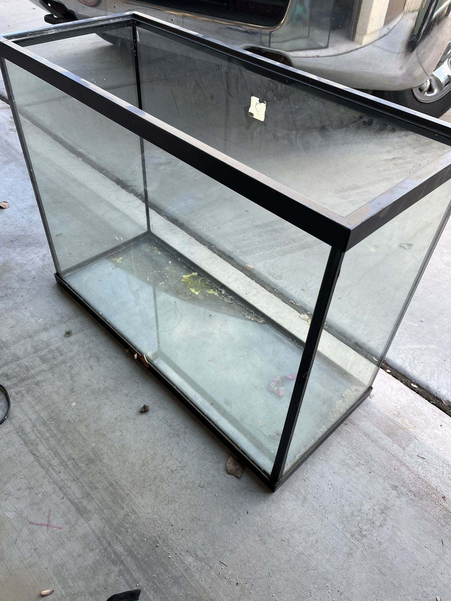 35 Gallon Fish Tank