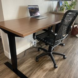 Kimball Office Sit Stand Desk  24”x60” And A Task Office Chair 
