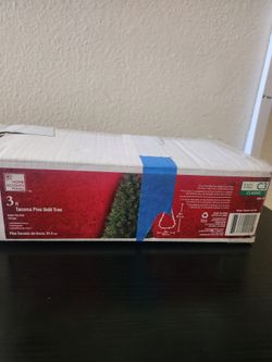 3ft Tacoma Pine Tree