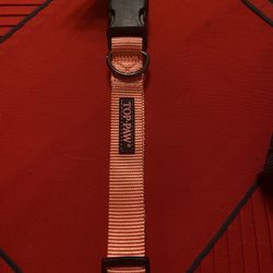 Top paw Collar