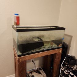 Fish Tank With Turtle And Fish