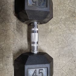 One 45lb Dumbbell 