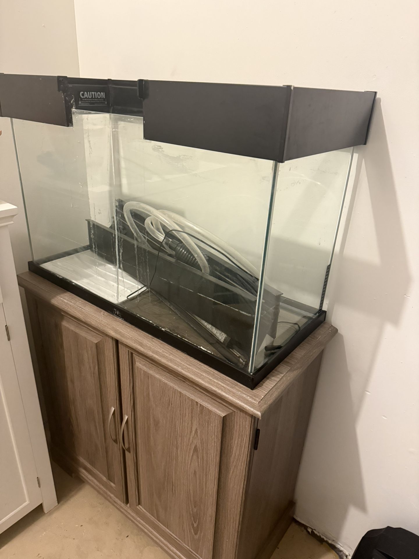 Fish Tank