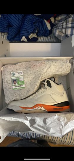 Shattered Backboard 5