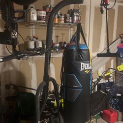 Everlast Punching Bag