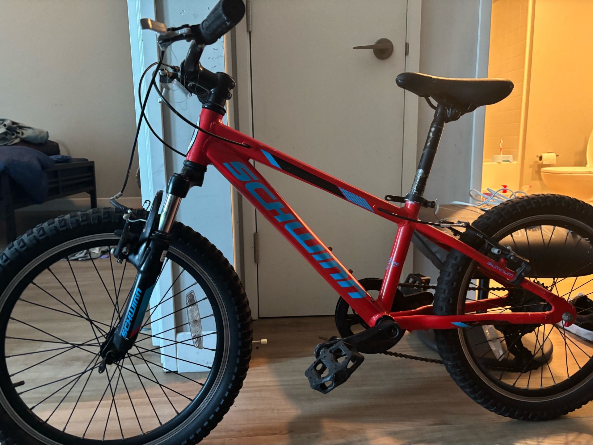 Schwinn Thrasher bike