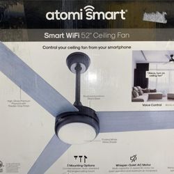 Smart Ceiling Fan