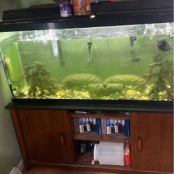 Aquarium With Stand