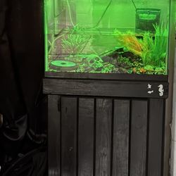 Fish Tank