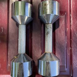 10 Lb Marcy Dumbbell 
