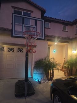 Lifetime Portable Basketball Hoop