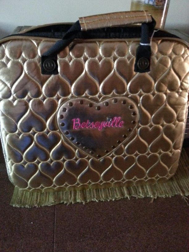 Lap top case