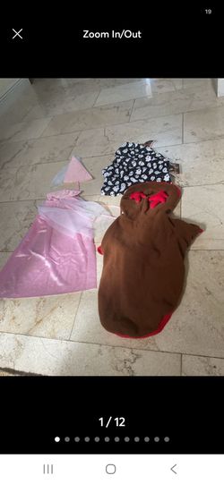 Halloween princess, reindeer , ghost, dog costumes