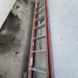 24ft Project Ladder, pick up only, cash Only