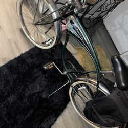 Scwinn Cruiser