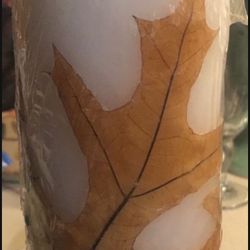 New Leaf  EmBedded Candle 