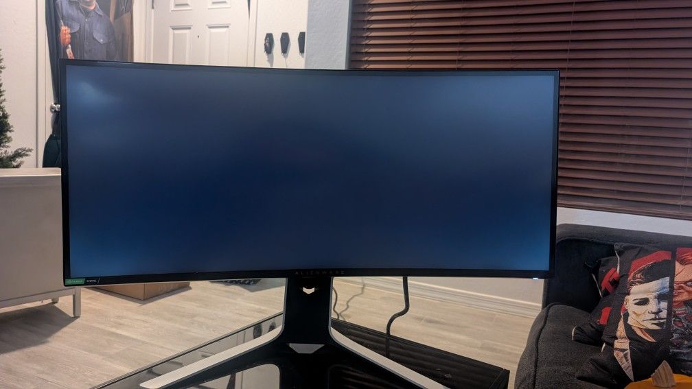 Alienware Computer Monitor 