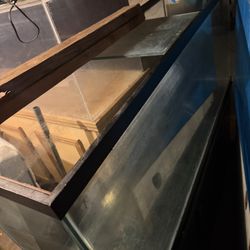 100gallon Glass Tank And Stand