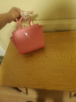 Steve Madden Purse