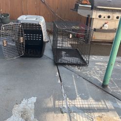 Kennels