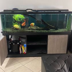125 Gallon Tank 
