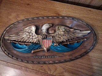 Vintage Original 1968 Pepsi-Cola Co "You've got a lot to Live" patriotic wall Plaque