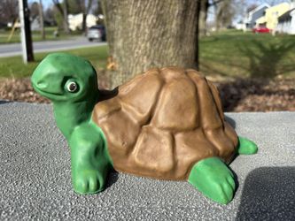 Concrete Turtle