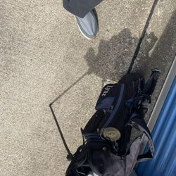 Lynx Golf Bag With Clubs 