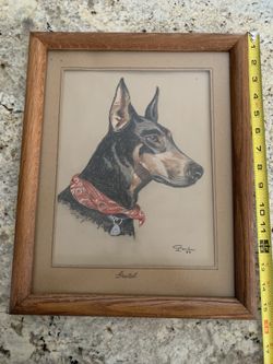 Picture of Doberman Dog