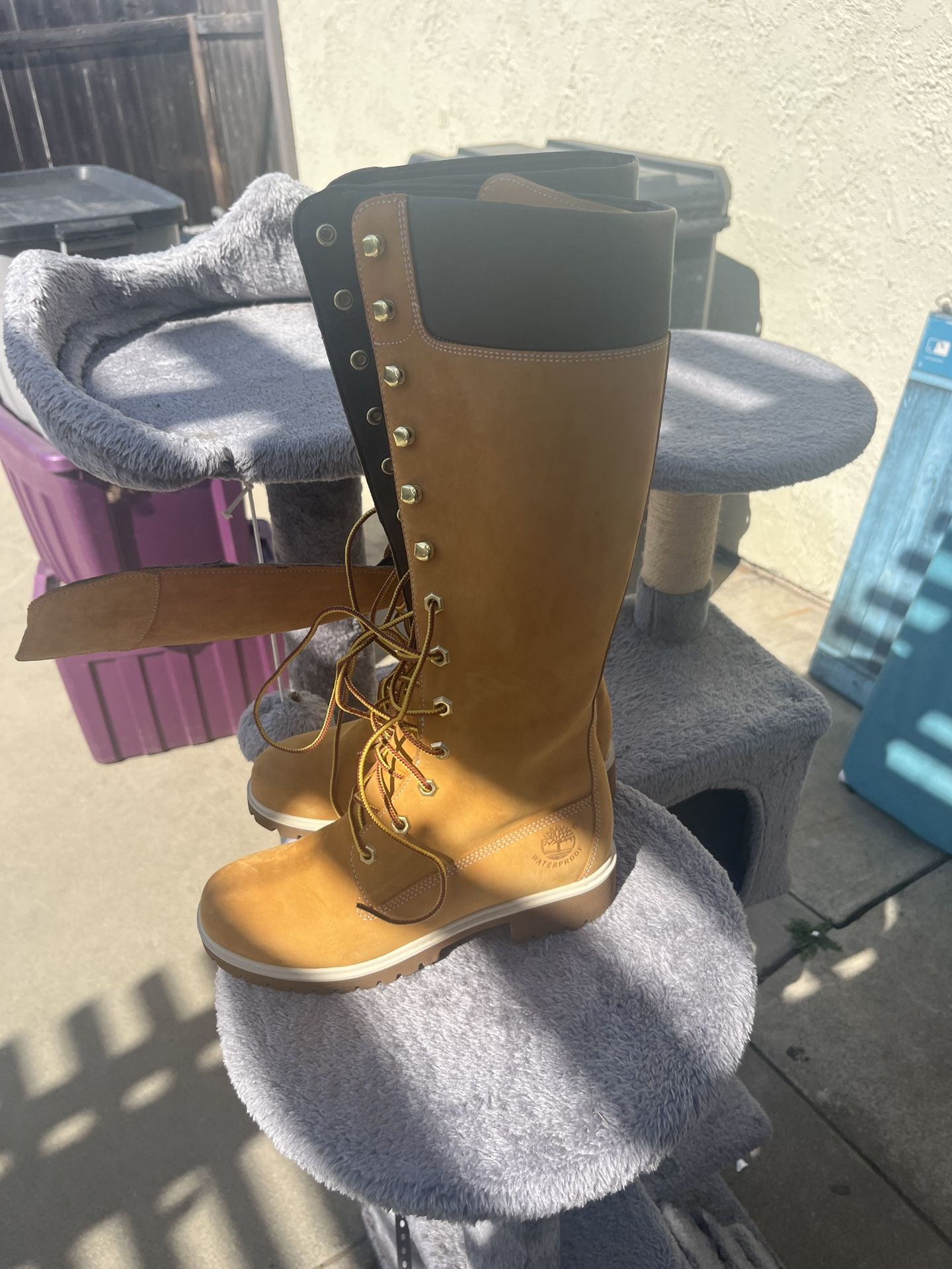 Woman’s Shoes