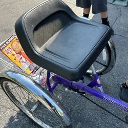 Bicicleta Con Parilla Trasera  
