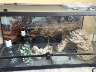Reptile Tank Terrarium with Accessories