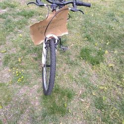 Dous ride good
