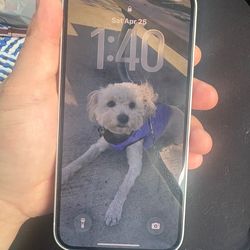 iPhone 16e
