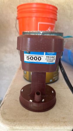 Water pump