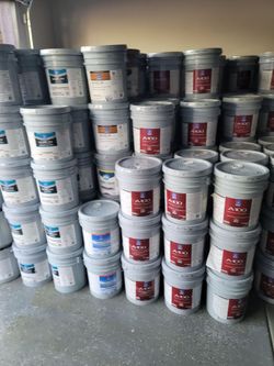Paint and primer